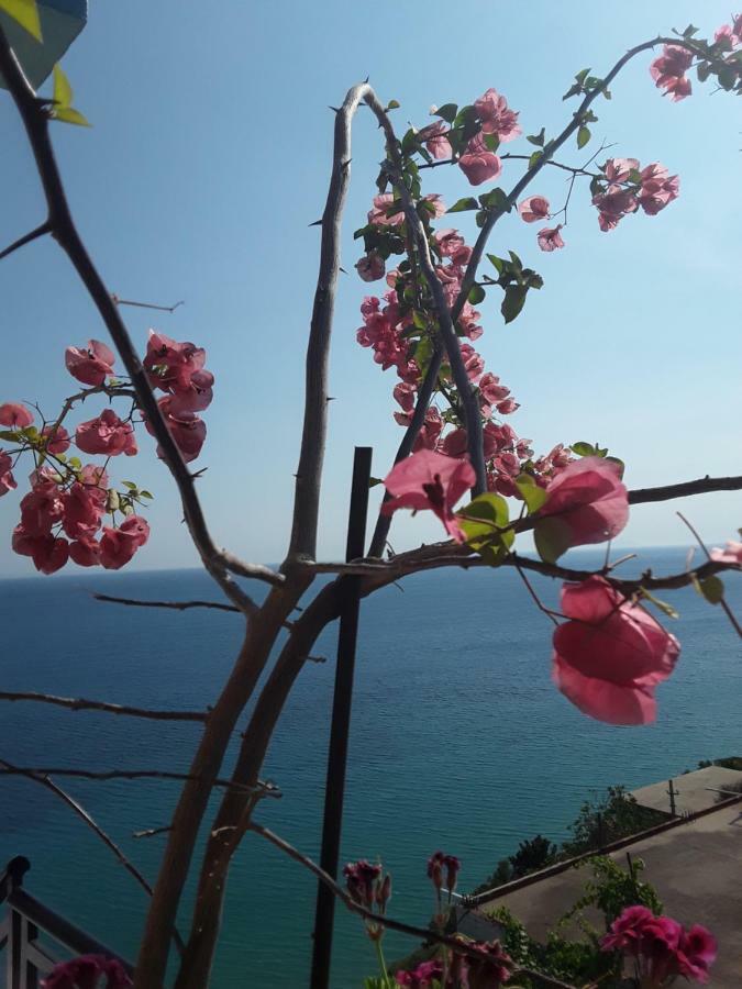Odhisea Hotel Restaurant Qeparo Bagian luar foto